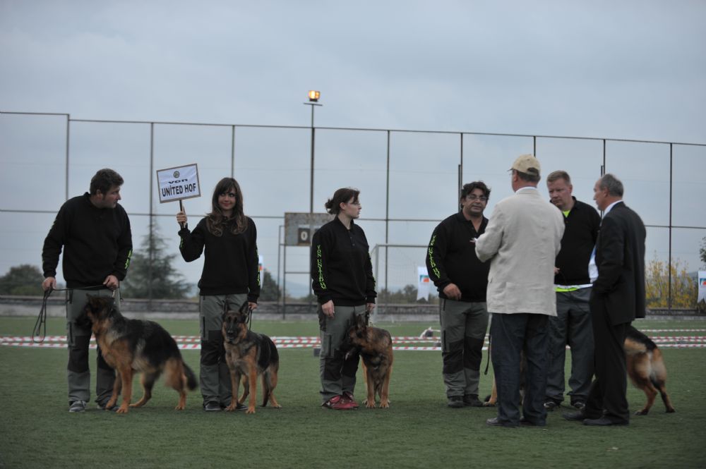 TURKEY'S LARGEST PRODUCER German Shepherd